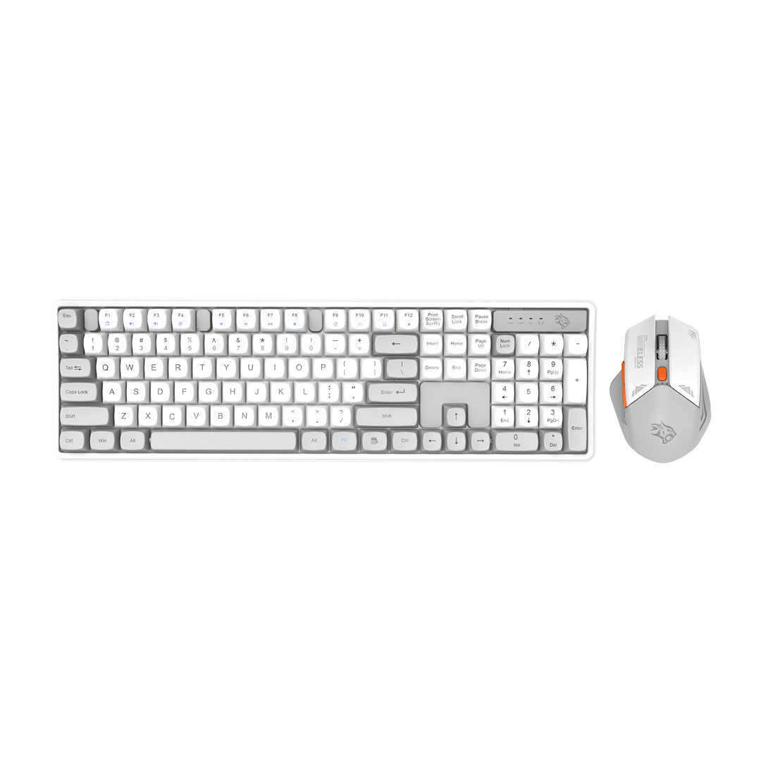 Wireless Keyboard and Mouse Combo