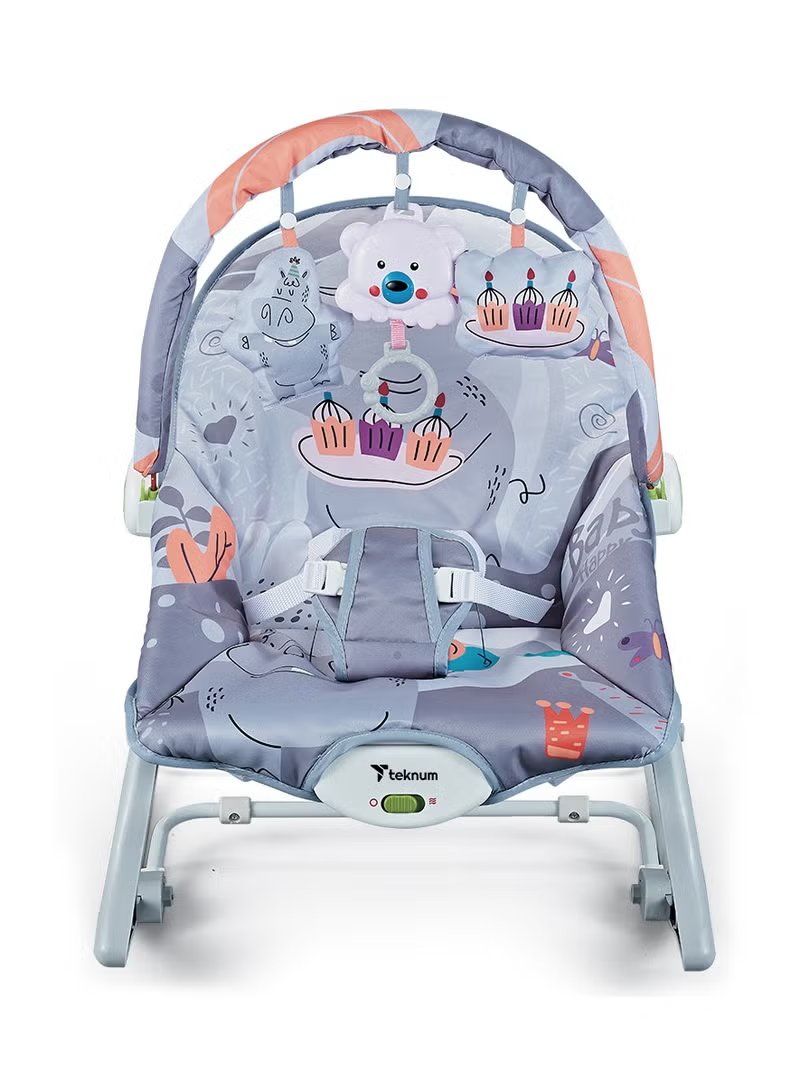 TEKNUM 3In1 Rocker/Baby Seat/Recliner with Soothing Music - Party Grey 2