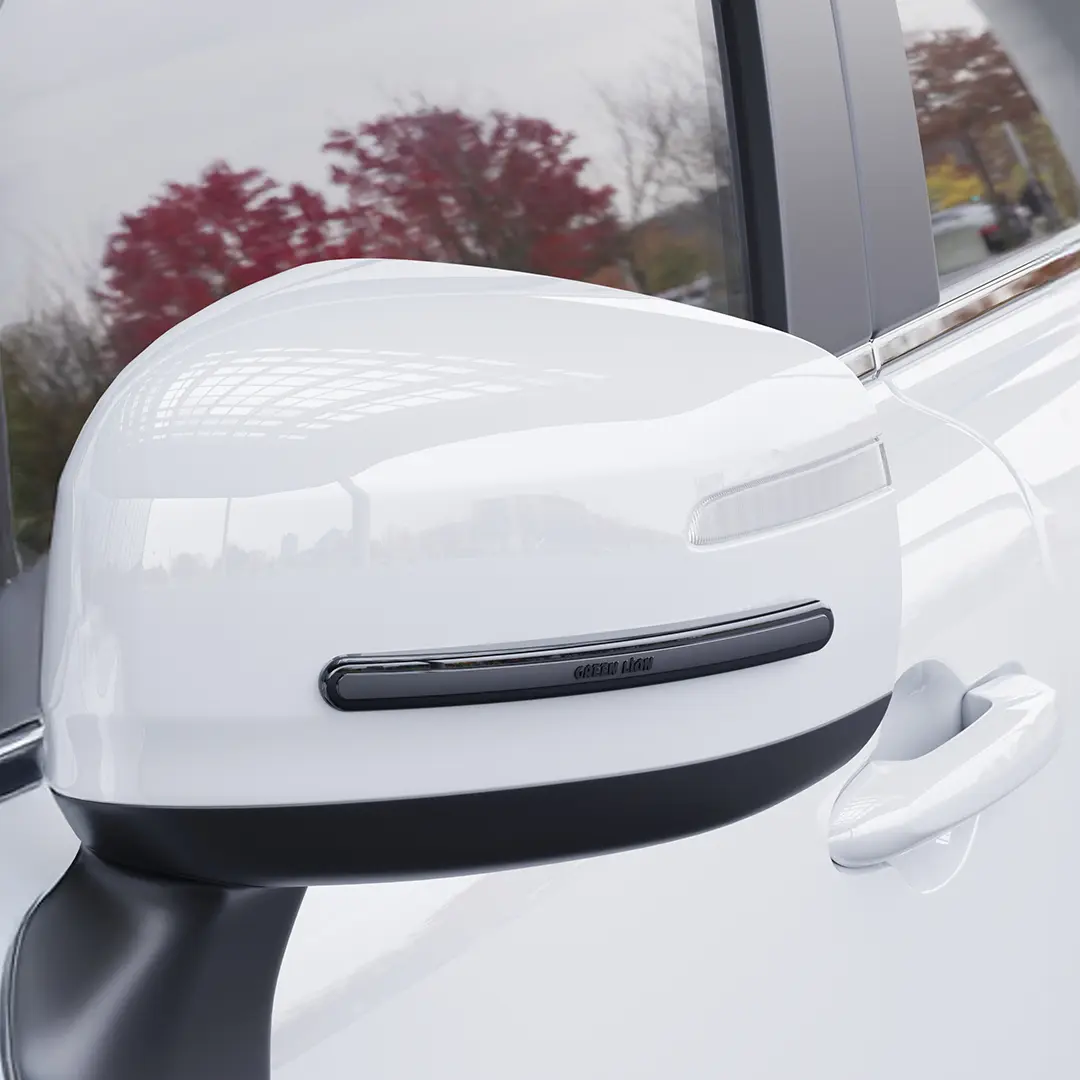 Green Lion Car Door Guard 4-Strip Pack - Black 2