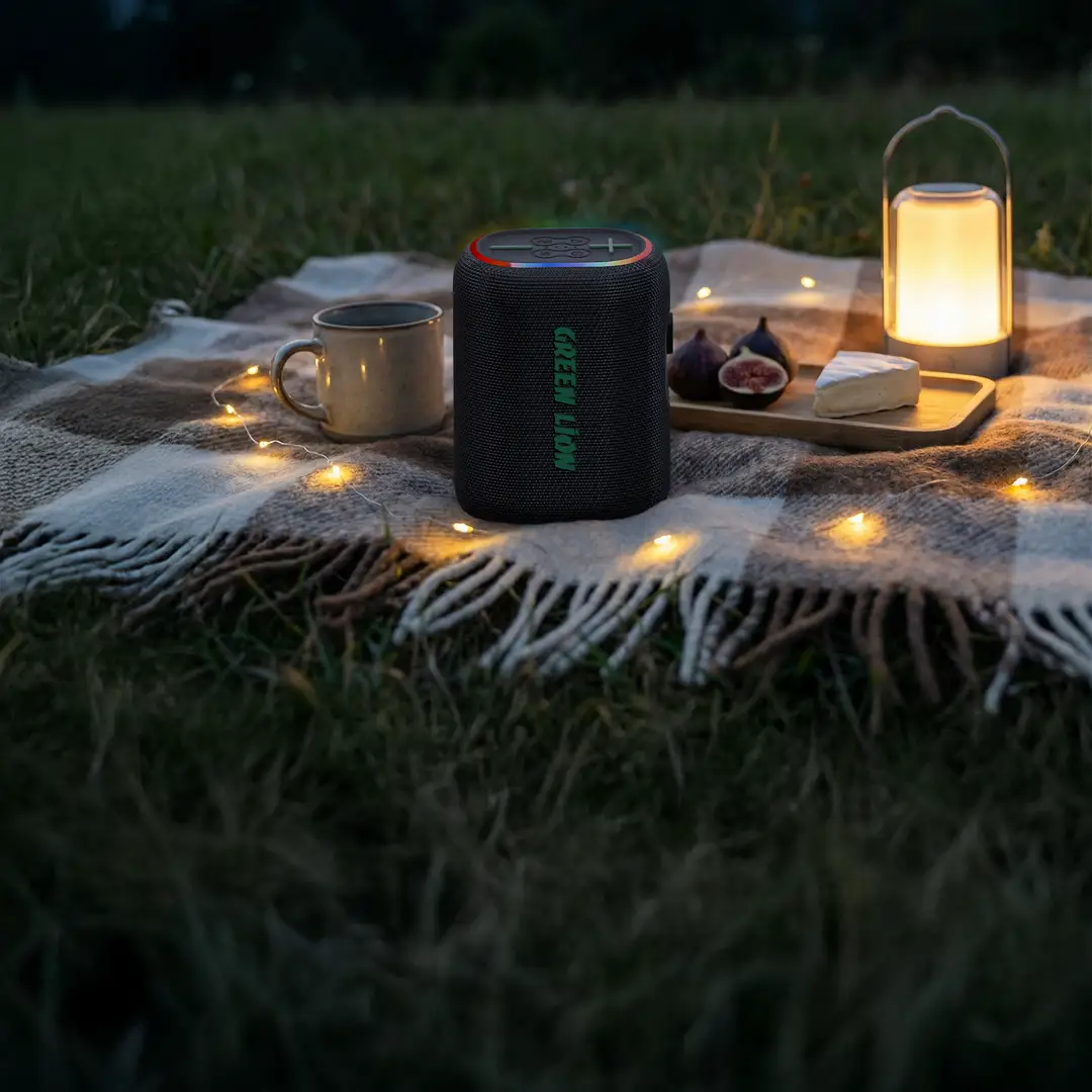 Green Lion WAVE 10 Speaker with 5000mAh Power Bank - Black 2
