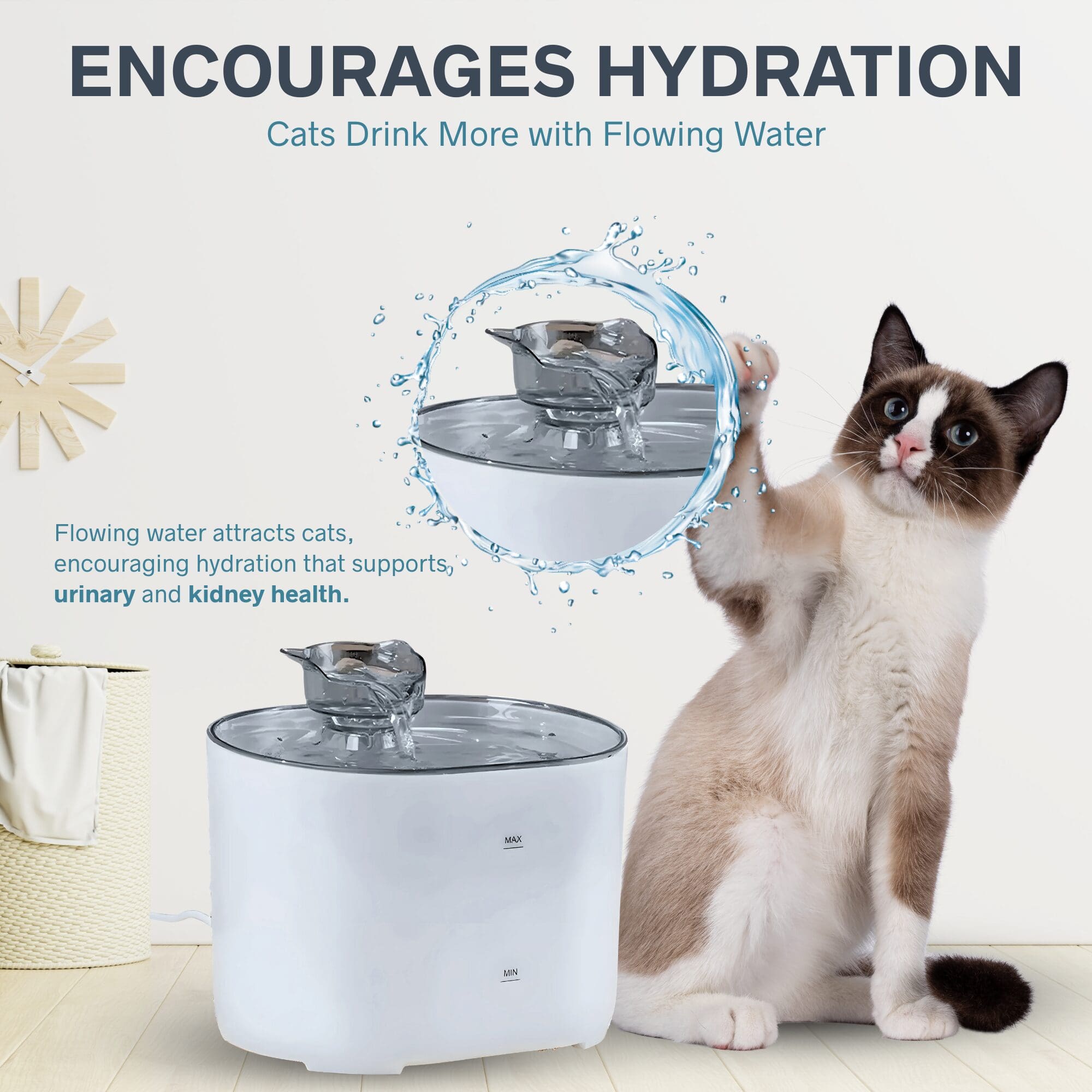 NEXSO Automatic Cat Water Fountain 6