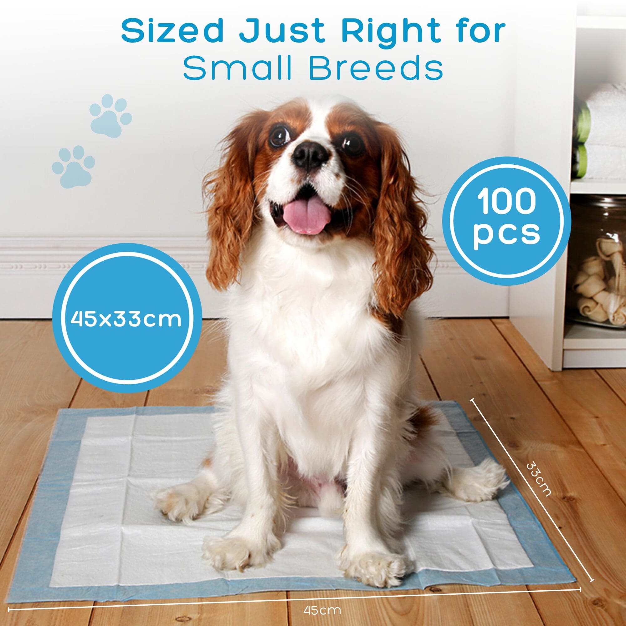 NEXSO - Dog Pee Pads 100pcs 5