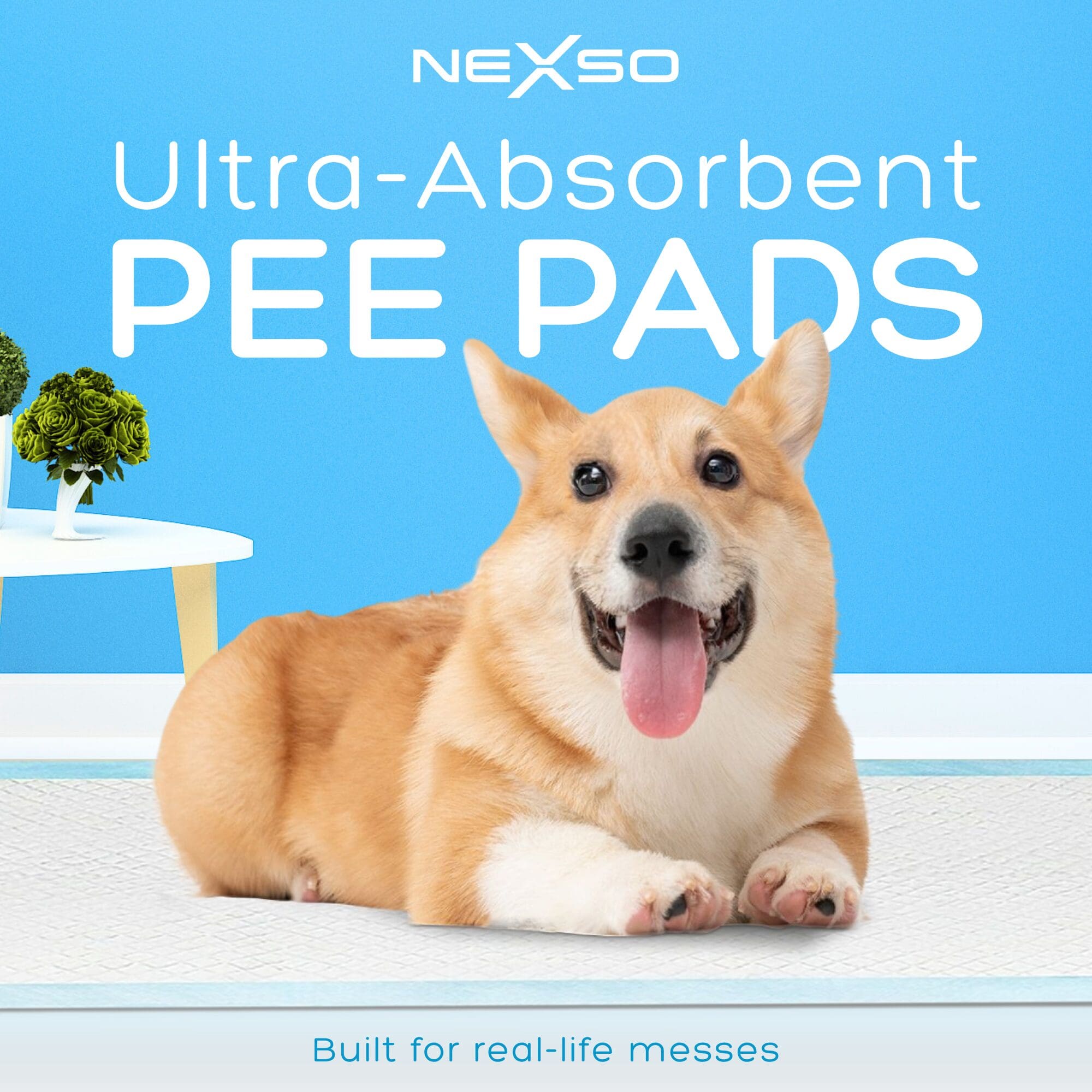 NEXSO - Dog Pee Pads 100pcs 6